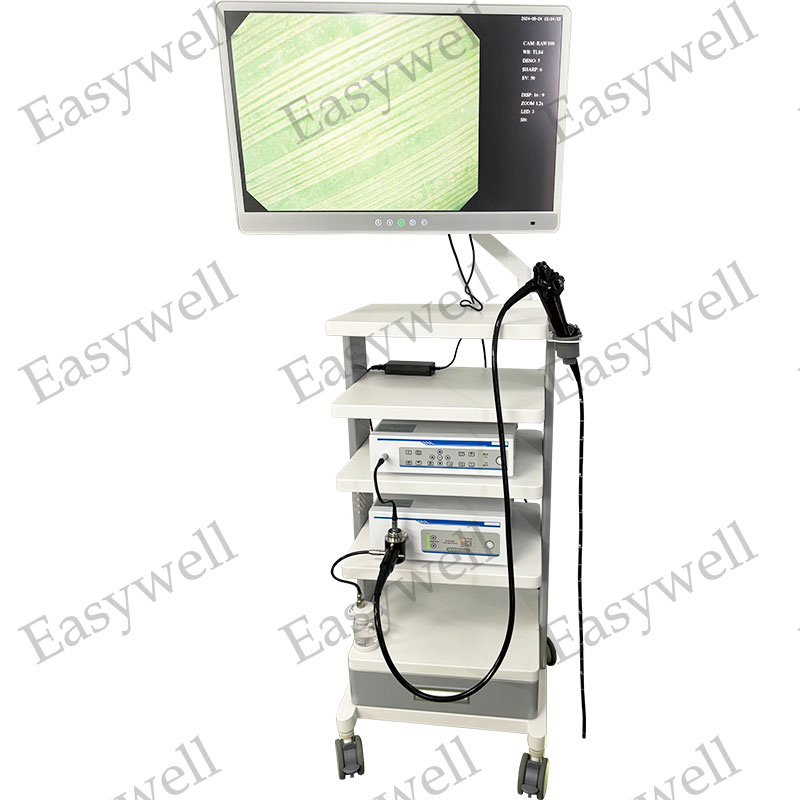 ENDOSCOPE-SET 1.jpg