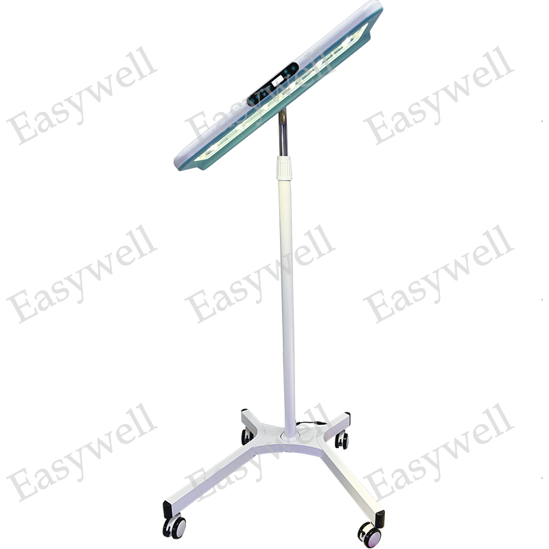 KS-IP48-2024-7.jpg
